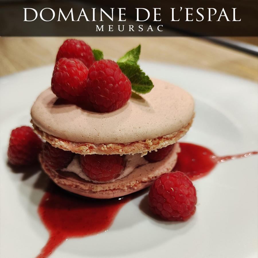 Domaine De L'espal Meursac Extérieur photo